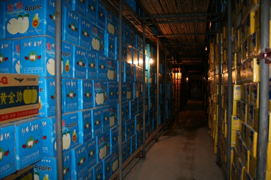 Underground cold storage
