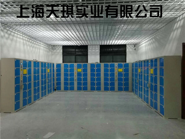 Networked luggage locker