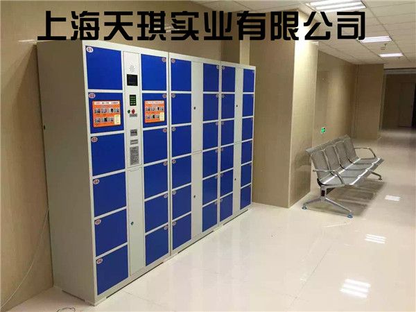 Mobile phone locker