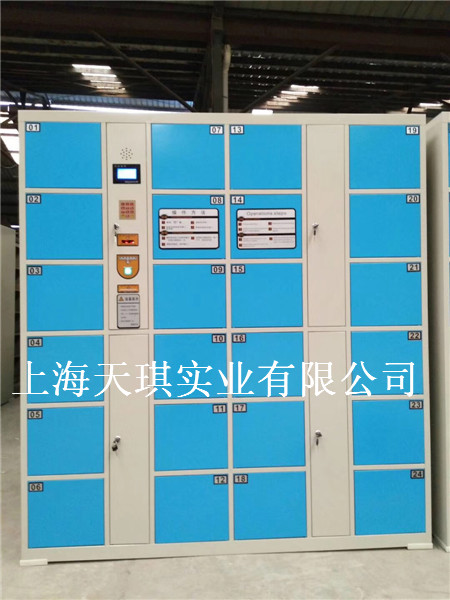 Electronic locker classification introduction