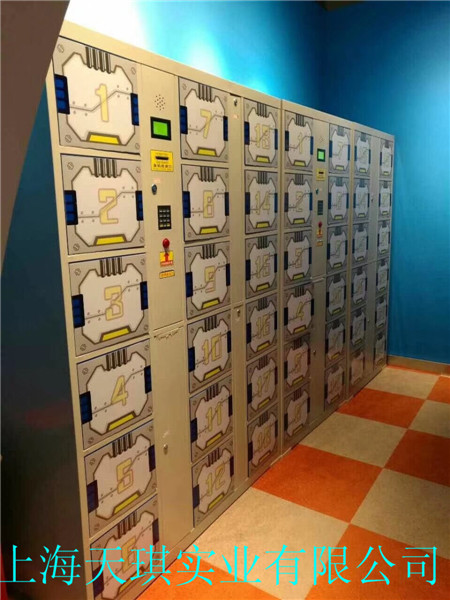 Electronic lockers