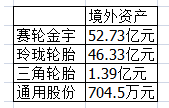 è½®èƒŽå…¬å¸ä¸šç»©