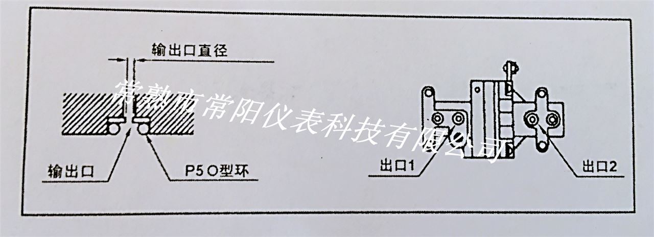 YT-1000L Positioner Amplifier