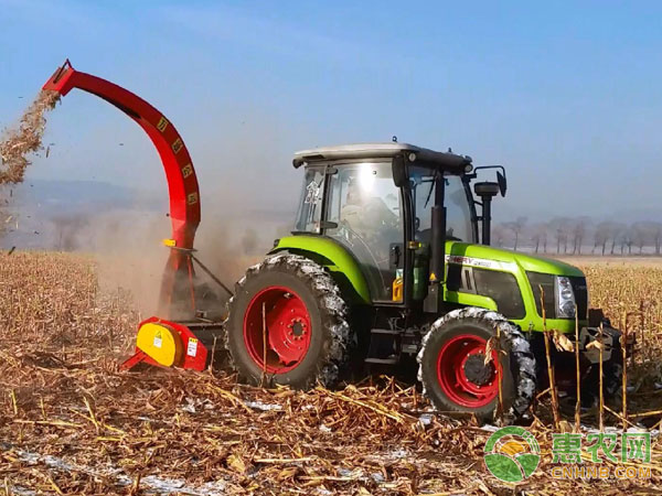Direct returning of corn stalks in irrigation area