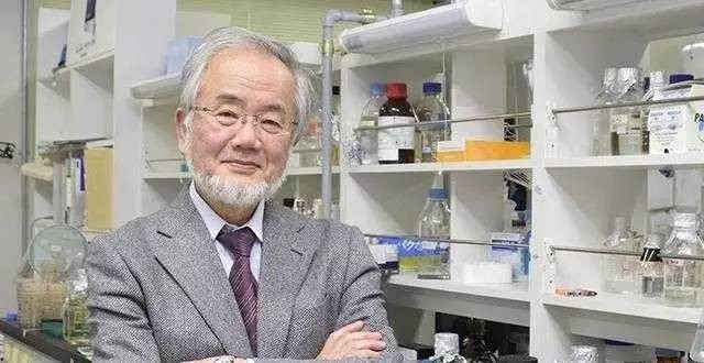 The 2016 Nobel Prize in Medicine was announced: the award of the Japanese scientist