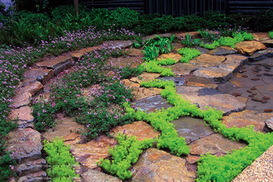 Moss ground cover and overgrown phlox