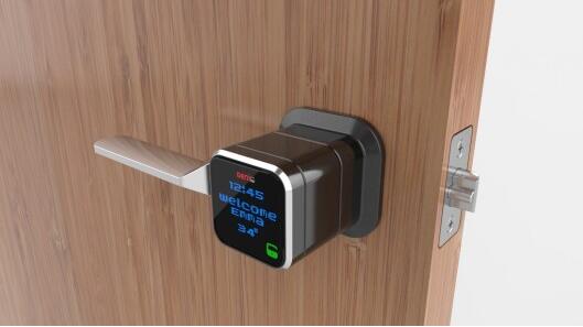 Smart door lock