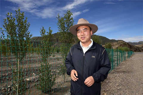 Wang Dingfeng County Magistrate: "We are really digging holes, land, tree planting, fertilizing, watering on this barren beach. It is really hot."