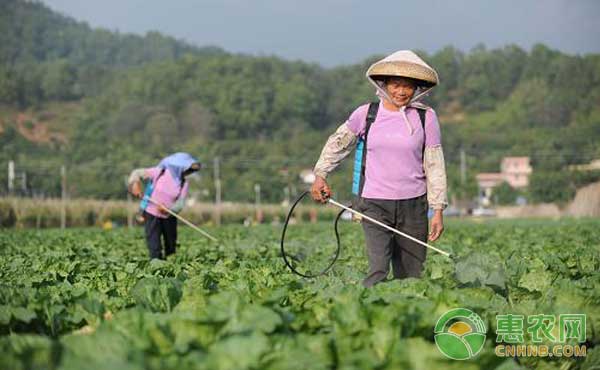 æ€Žä¹ˆæ‰“å†œè¯ï¼Ÿè¿œç¦»è¿™å››ä¸ªè¯¯åŒºäº‹åŠåŠŸå€