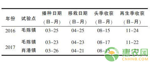 ç”¬ä¼˜4949å†ç”Ÿç¨»å…¨ç¨‹æœºæ¢°åŒ–æ ½åŸ¹æŠ€æœ¯è¦ç‚¹