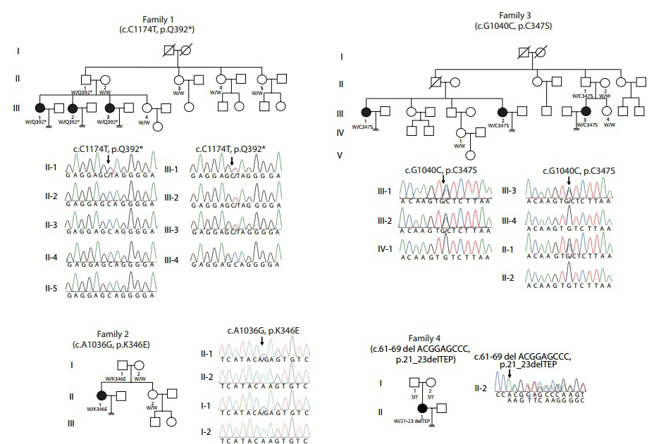 Science Supplement: Yan Yanping team found a new human genetic disease