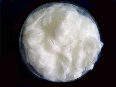 Fabric fiber