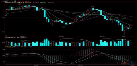 EIA stocks make the oil market bulls happy, OPEC monthly report is expected to send good news