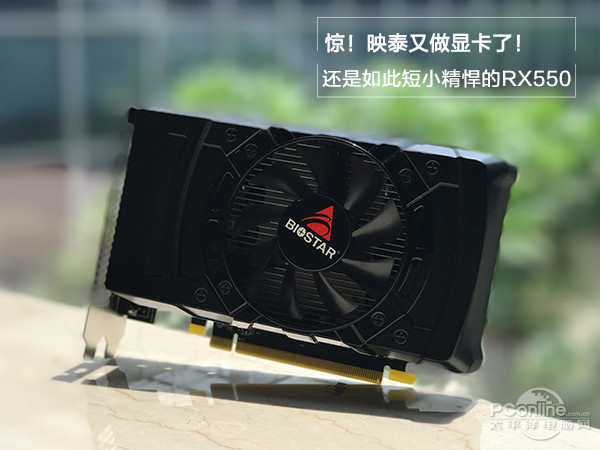 Biostar RX550 2GB