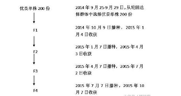 åŸºé‡‘é¡¹ç›®ï¼šæ°´ç¨»è‚²ç§ææ–™ä¸€å¹´å››ä»£å¿«é€ŸåŠ ä»£ç¹æ®–æŠ€æœ¯