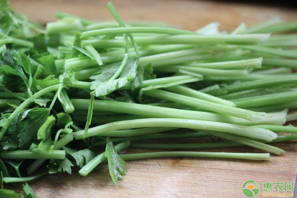 èŠ¹èœç¼ºé’™åŽŸå› 