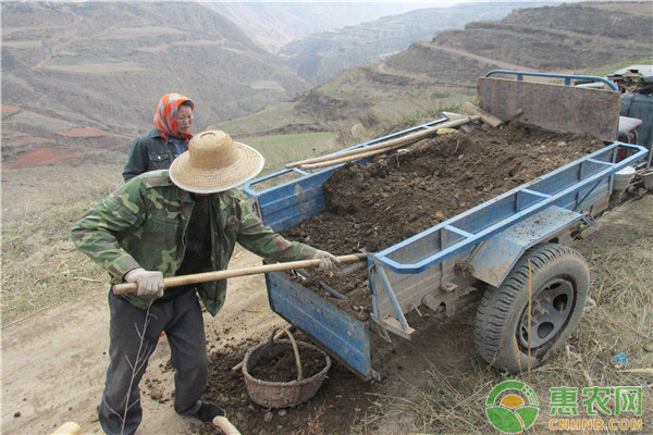 å¾®ç”Ÿç‰©å¯¹äºŽåœŸå£¤æœ‰å“ªäº›å¥½å¤„ï¼Ÿåˆä½œç”¨äºŽå“ªäº›åœ°æ–¹ï¼Ÿ