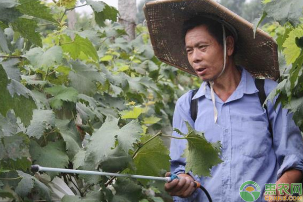 ç£·é…¸äºŒæ°¢é’¾å¯¹ä½œç‰©ç”Ÿé•¿æœ‰ä»€ä¹ˆå¥½å¤„ï¼Ÿæµ…è°ˆç£·é…¸äºŒæ°¢é’¾æ­£ç¡®ä½¿ç”¨æ–¹æ³•åŠæ³¨æ„äº‹é¡¹