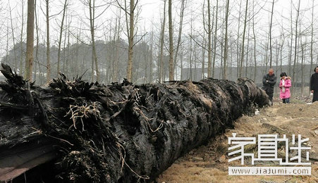 Ebony furniture for solid wood furniture 3.jpg