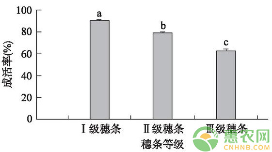 æµ…è°ˆæ ¸æ¡ƒæ”¹è‰¯åž‹èŠ½æŽ¥æŠ€æœ¯çš„æˆæ´»çŽ‡