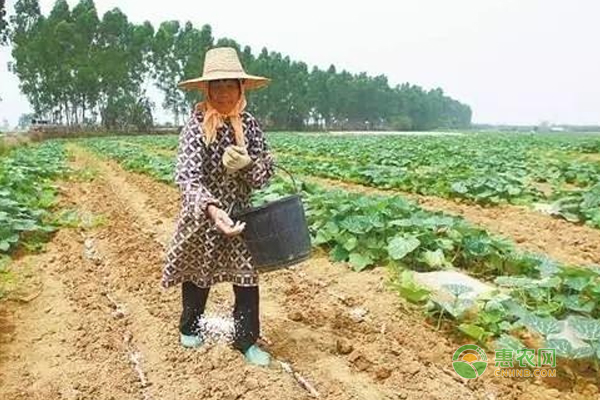 å—ç“œæ ½åŸ¹ç—…è™«å®³åŠç¼ºç´ ç—‡é˜²æ²»