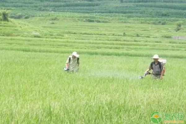 ç”Ÿç‰©å†œè¯ä½¿ç”¨æ³¨æ„äº‹é¡¹