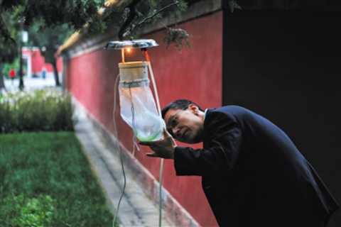 On May 23, Ditan Park, the disease control staff was checking the mosquito trapping equipment. The device traps mosquitoes by releasing carbon dioxide. Beijing News reporter Wang Jianing photo