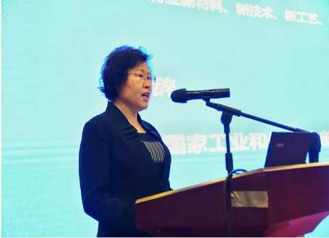 Cao Xuejun, Deputy Director, Consumer Products Division, Ministry of Industry and Information Technology