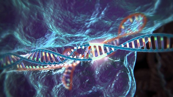 Gene editing company CRISPR Therapeutics completes $38 million Series B financing