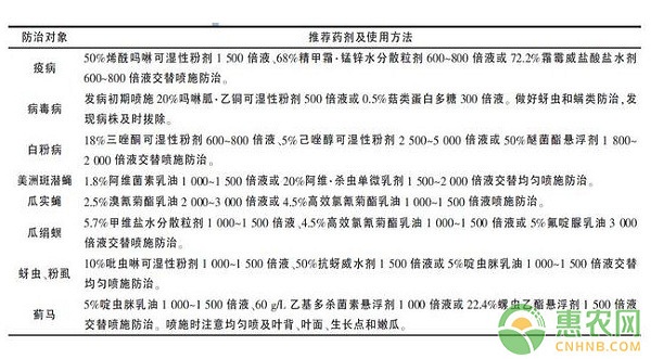 æ¡‚æž—åœ°åŒºé»‘çš®å†¬ç“œæ˜¥å­£é«˜äº§æ ½åŸ¹ç®¡ç†æŠ€æœ¯