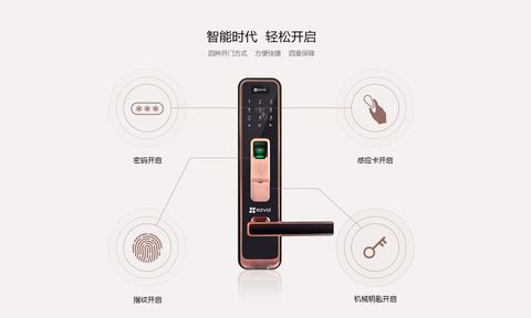 Fluorite smart lock supports four ways to open the door (pictured is fluorite DL1 smart lock)