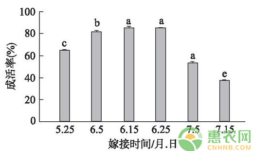 æµ…è°ˆæ ¸æ¡ƒæ”¹è‰¯åž‹èŠ½æŽ¥æŠ€æœ¯çš„æˆæ´»çŽ‡