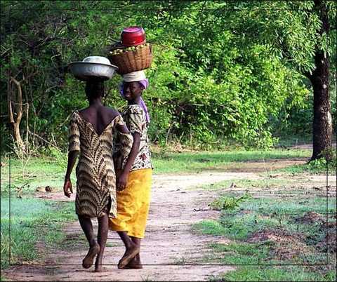 The Mali government's agricultural development plan, they will become beneficiaries. The picture shows the country women in Mali.