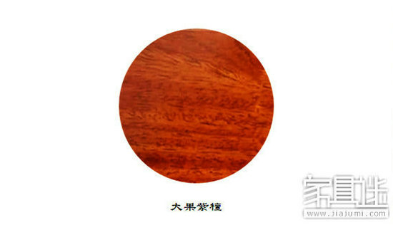 Big fruit rosewood.Jpg