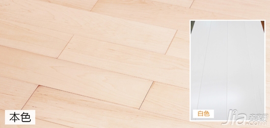 Natural forest hard maple wood parquet