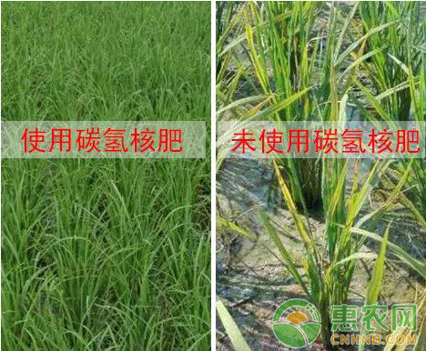 ç¢³æ°¢æ ¸è‚¥åœ¨å†œä½œç‰©ç§æ¤è¿‡ç¨‹ä¸­çš„ä¼˜åŠ¿