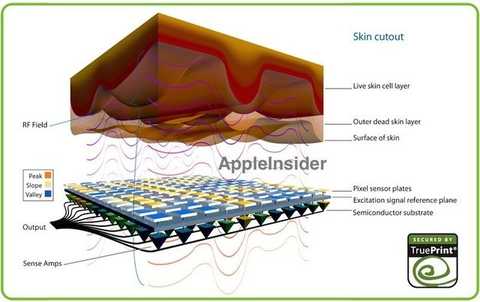 TruePrint fingerprint recognition technology principle