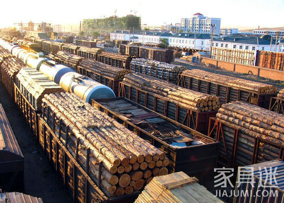 Timber import process