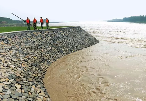 The Yellow River Flood Control Team of Zouping County, Shandong Province visited the Yellow River Bank (photo taken on July 7, 2014) Photo by Dong Naide