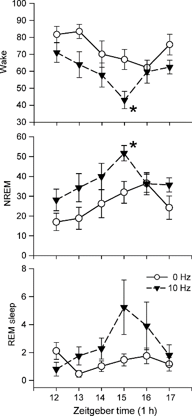 Effects of different light stimulation times on astrocytes