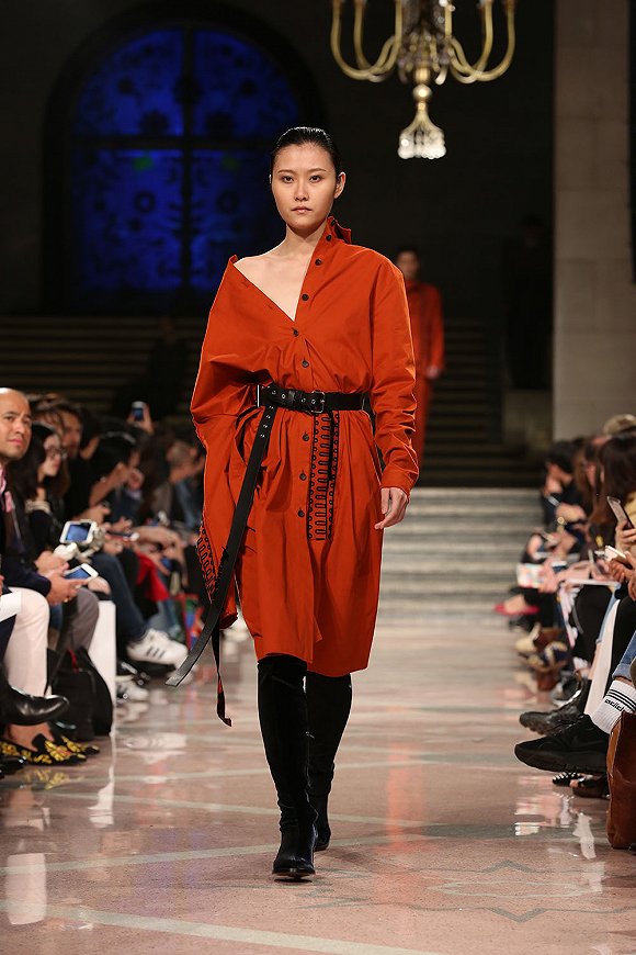 Damir Doma