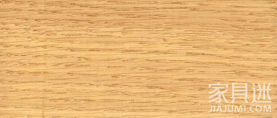 American Red Oak 05