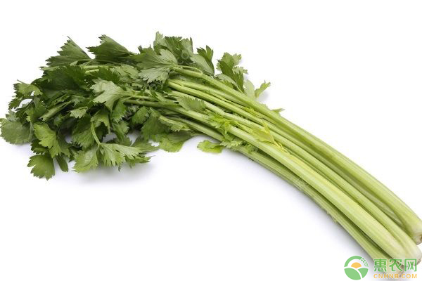 èŠ¹èœç¼ºé’™å’Œç¼ºç¡¼é˜²æ²»æŽªæ–½