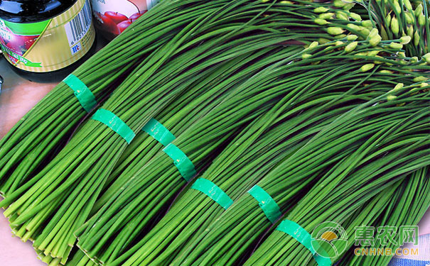 How to produce high yield of chives
