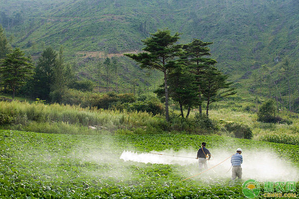 ç”Ÿç‰©å†œè¯