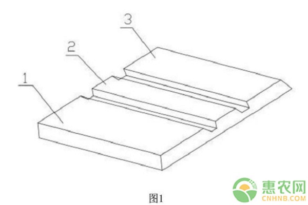 æµ…è°ˆé»„ç²¾ç§»æ ½å¥—ç§æ ½åŸ¹æŠ€æœ¯è¦ç‚¹