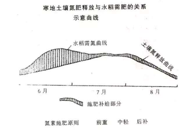 å¦‚ä½•é¢„é˜²æ°´ç¨»å€’ä¼ï¼šåˆç†æ–½è‚¥