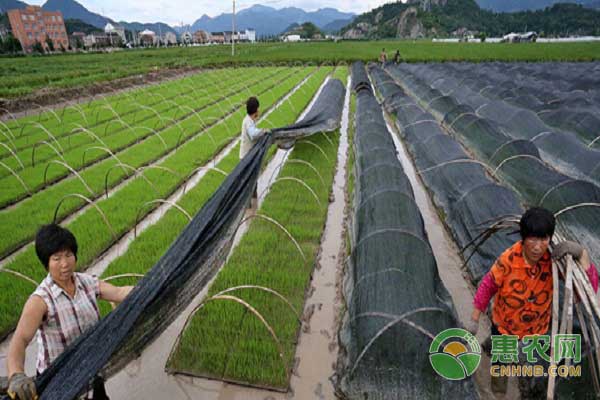  è¯å‰‚é—·æ£šæ­£ç¡®è¦†è†œä¹‹è¦†è†œè¦ä¸¥å¯†