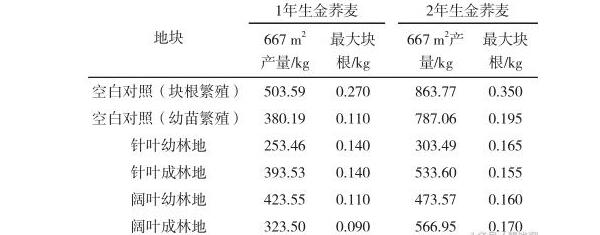 é‡‘èžéº¦æœ€é€‚å®œçš„æž—åœ°æ¡ä»¶åŠå…¶ä¸åŒæž—åœ°æ ½åŸ¹è¡¨çŽ°