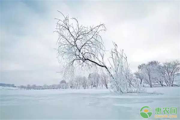 å¤§é›ªåˆ°ï¼Œå¯’å†¬å§‹